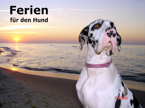 Gina an der Ostsee