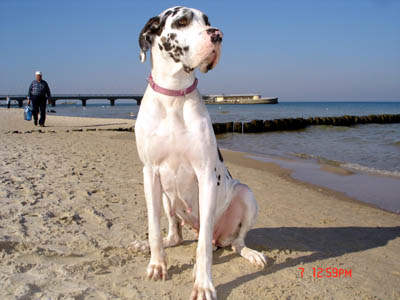 Gina in Kolobrzeg