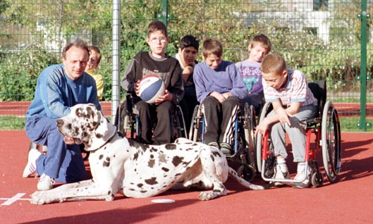 Deutsche Dogge Baal