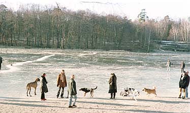 Berlin - Hundeauslaufgebiet im Grunewald